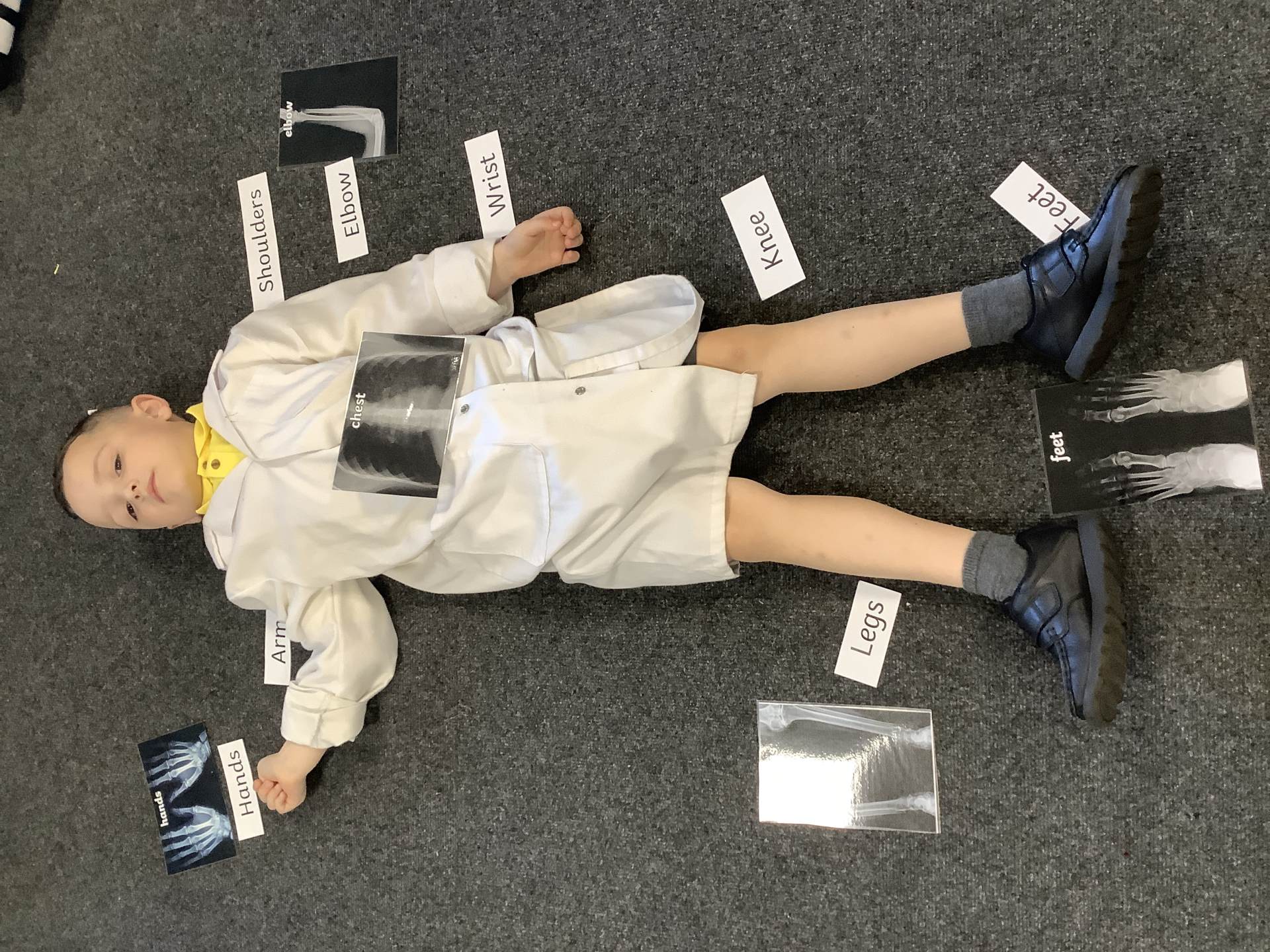Human Body Detectives