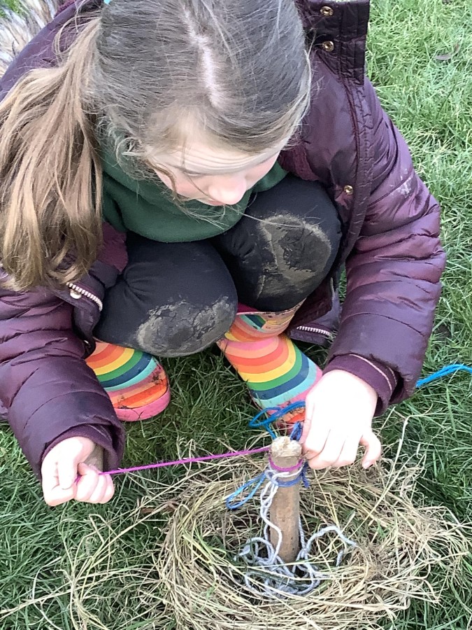 The Great Woolly Worm Hunt