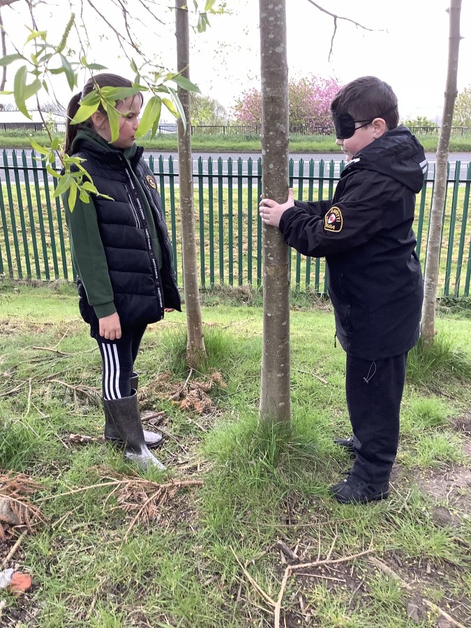 Meeting the Trees