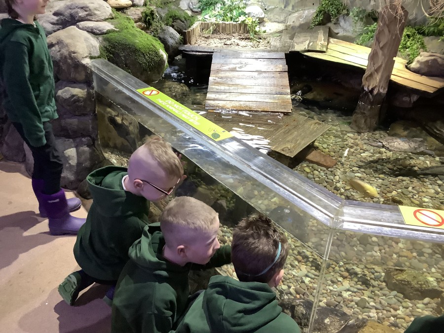 Year Two Visit Tynemouth Aquarium